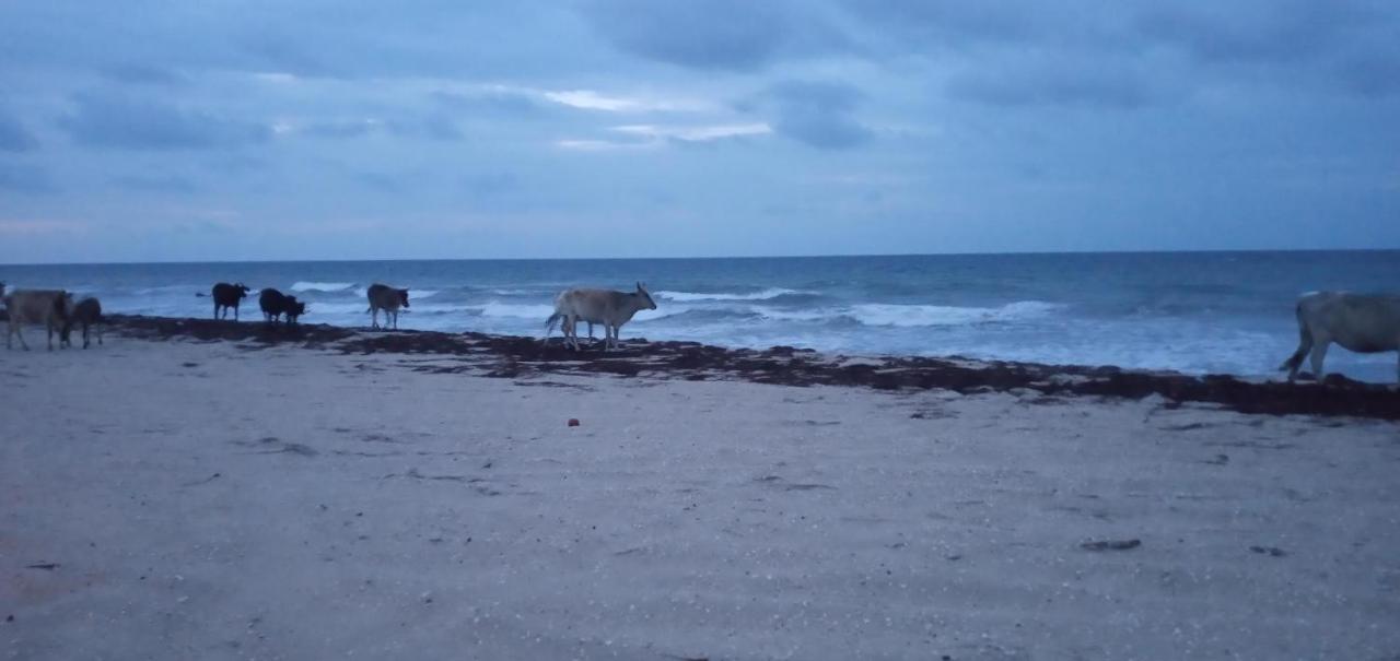 Portadosoljeri Hotel Jijoca de Jericoacoara Kültér fotó