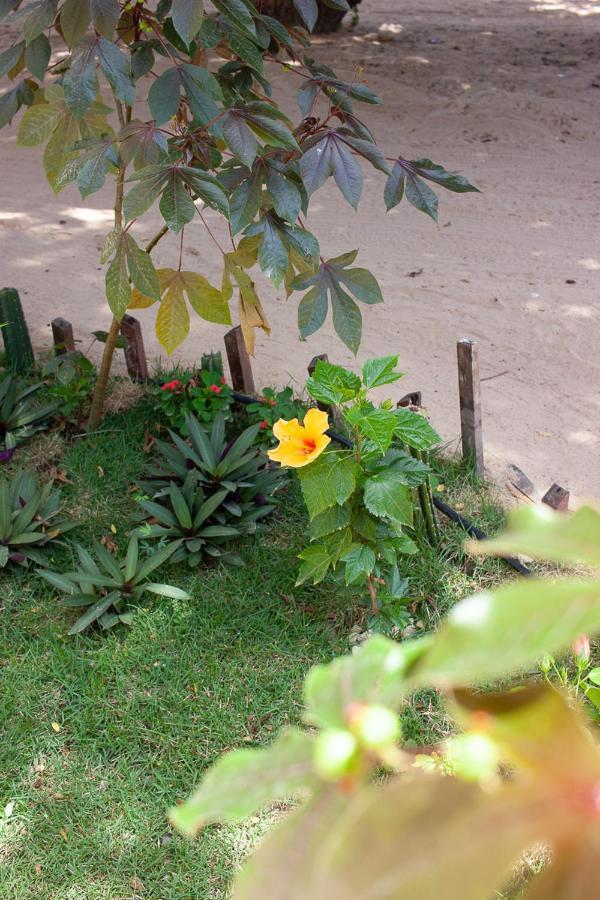 Portadosoljeri Hotel Jijoca de Jericoacoara Kültér fotó